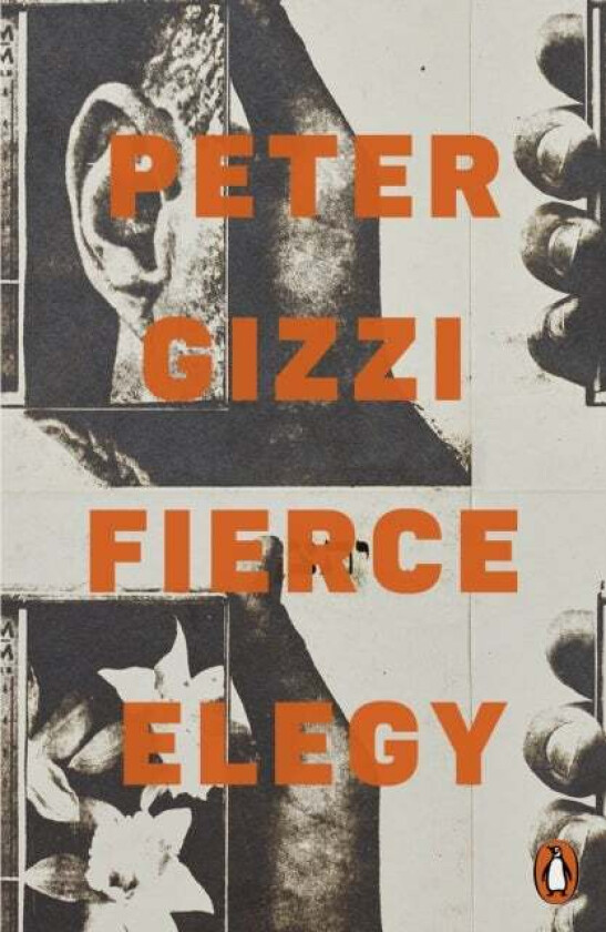 Fierce Elegy av Peter Gizzi