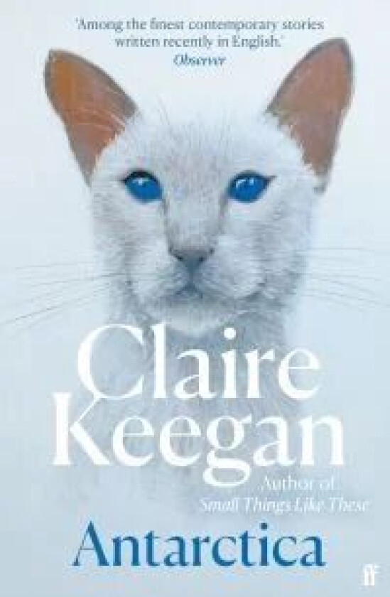 Antarctica av Claire Keegan