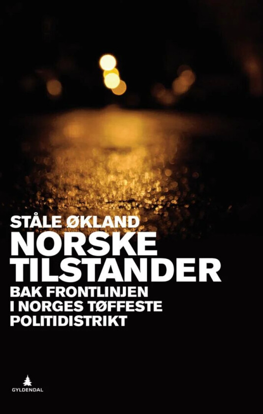 Norske tilstander av Ståle Økland