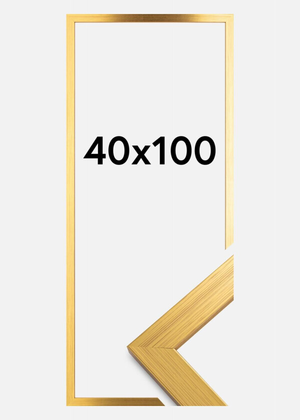 Ramme Gold Wood Akrylglass 40x100 Cm