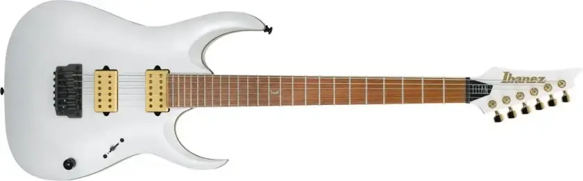 Jbm10fx-Pwm Elgitar, Signatur Jake Bowen