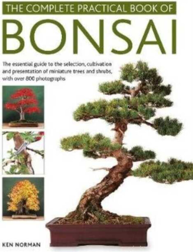 Bonsai, Complete Practical Book Of Av Ken Norman
