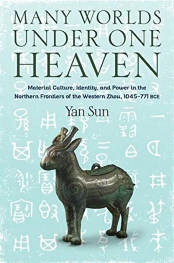 Many Worlds Under One Heaven av Yan (Professor of Art History) Sun
