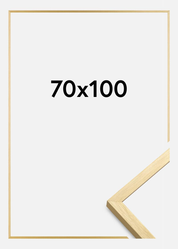 Ramme Chair Gull 70x100 Cm