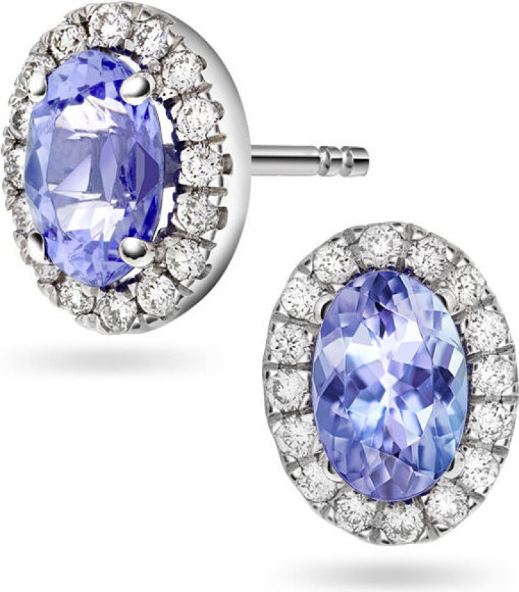 Bilde av , Øredobber i 585 hvitt gull med tanzanitt og diamanter 0,17 ct