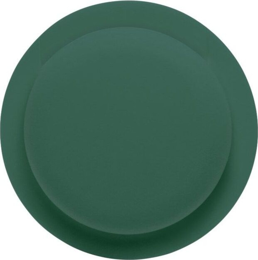 Bilde av Selvklebende etui til Apple AirTag Grønn