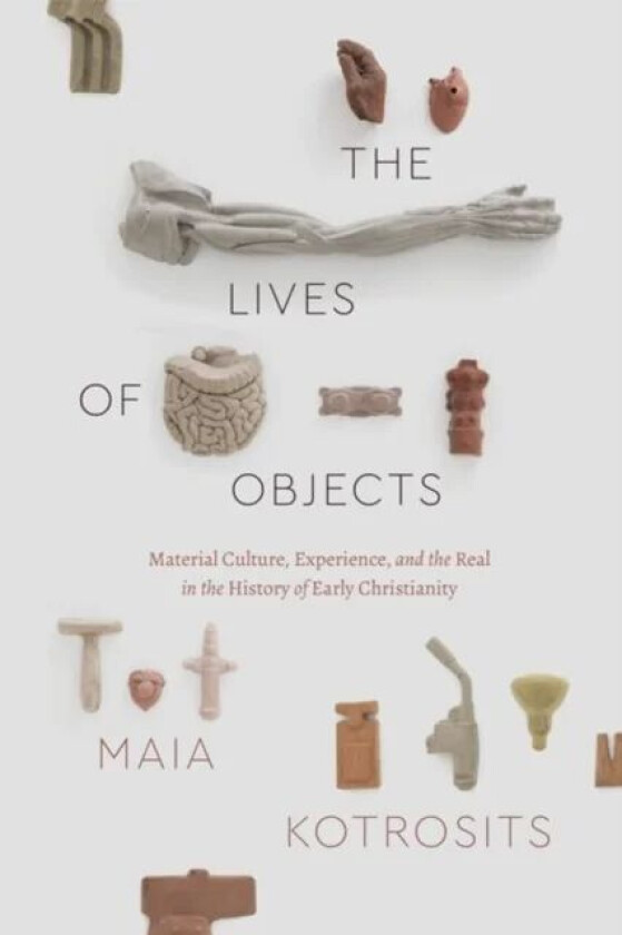 The Lives of Objects av Maia Kotrosits