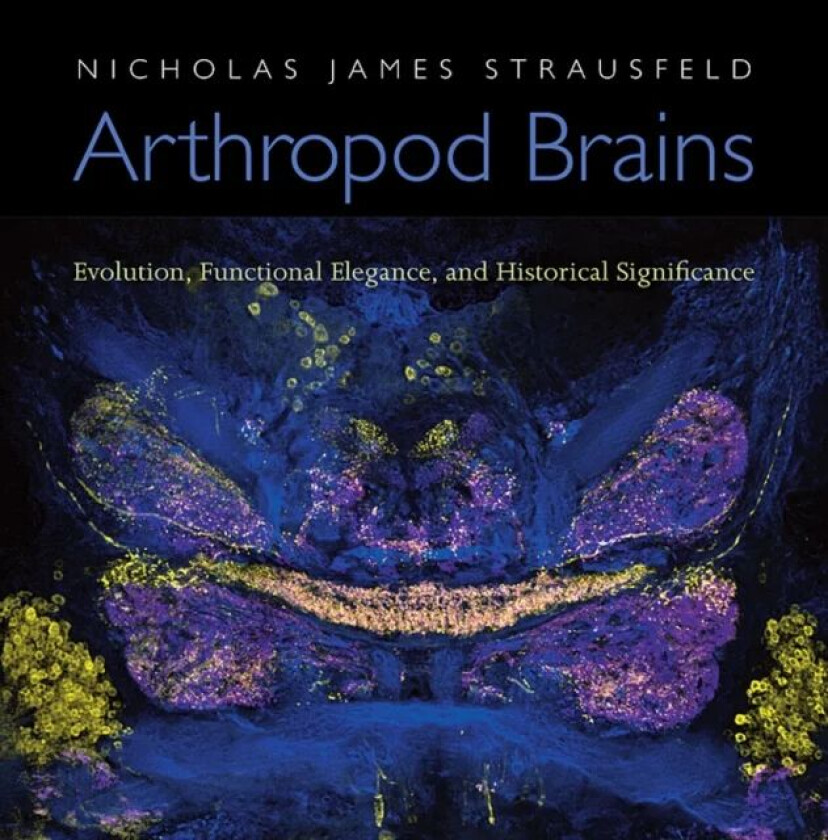 Arthropod Brains av Nicholas James Strausfeld