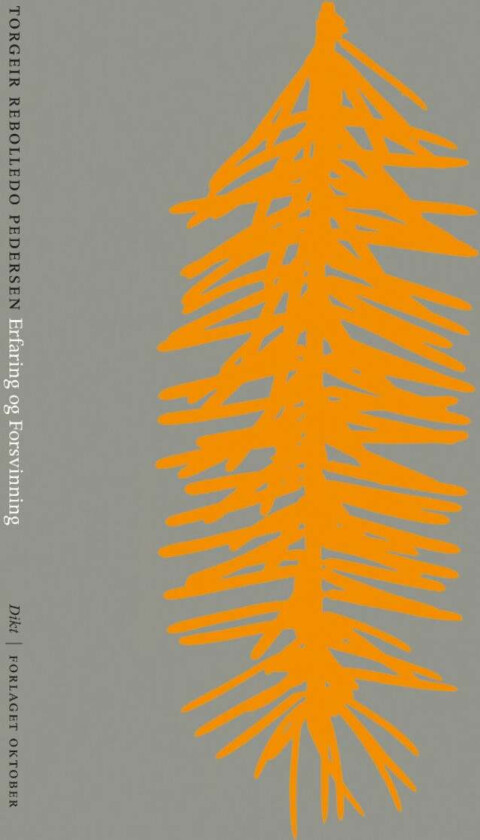 Erfaring og forsvinning