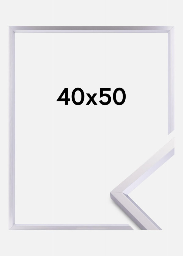 Ramme Steel Style Sølv 40x50 Cm