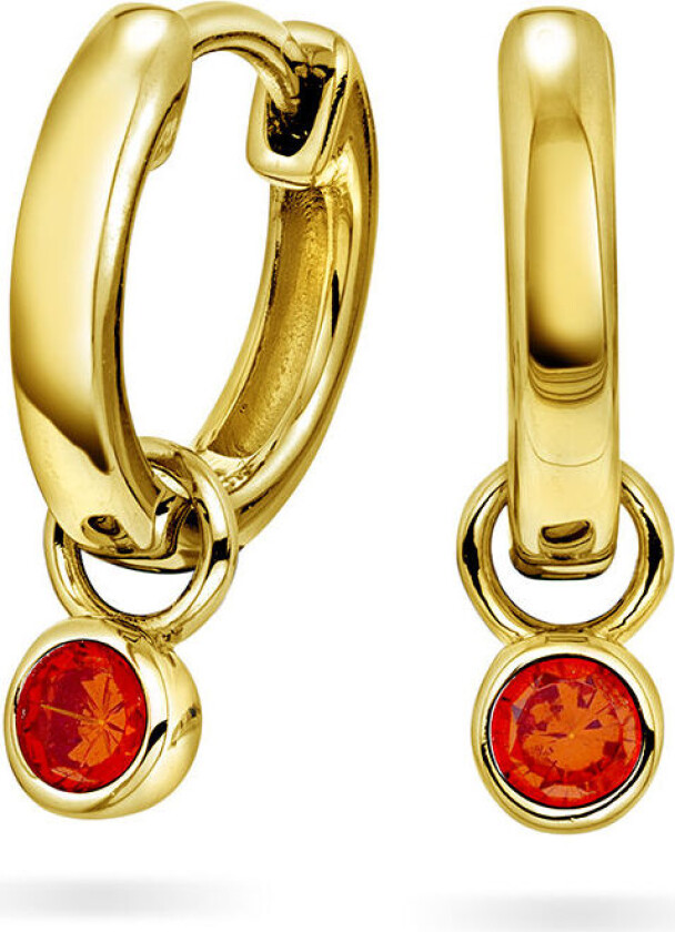 , Øreringer i 925 forgylt sølv med orange zirkonia