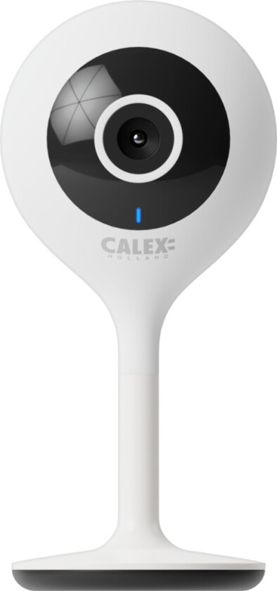 Surveillance Camcorder Calex