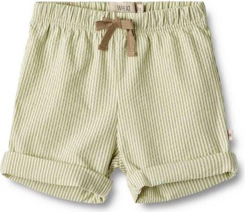 Shorts Milton Green Stripe