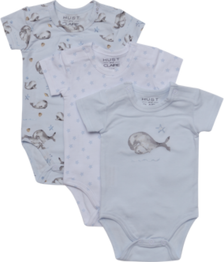 Hust And Claire Bati Body 3-Pak Water