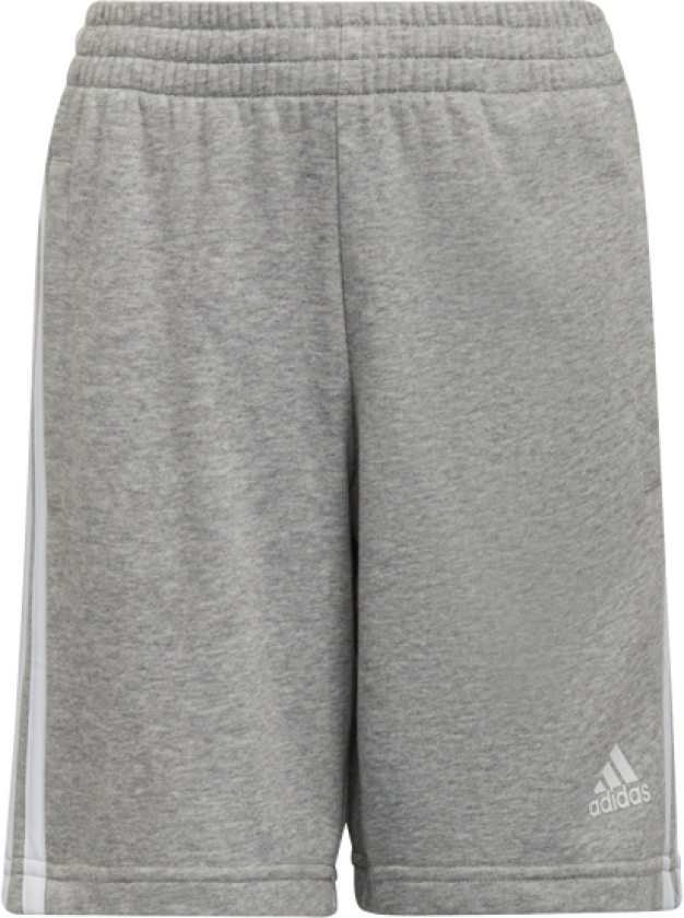 Bilde av 3S Shorts Grå