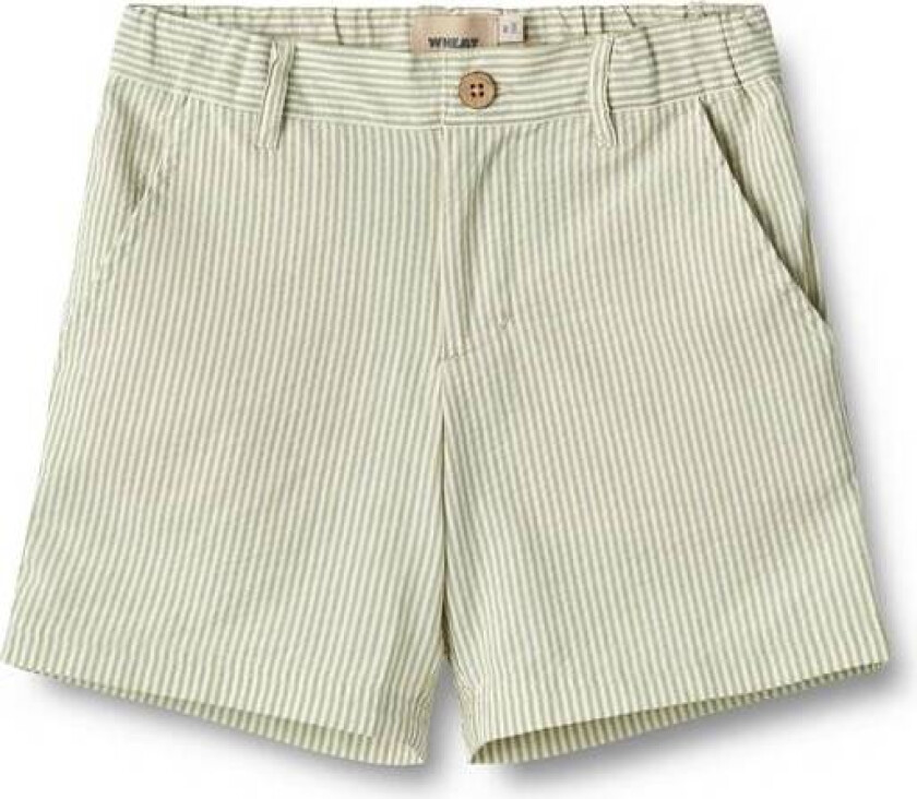 Shorts Elvig Green Stripe