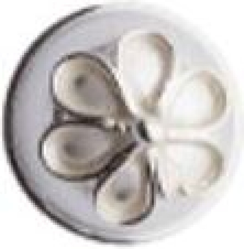 Bilde av Knapp Aust-Agder i 830 hvitt sølv, 11 mm