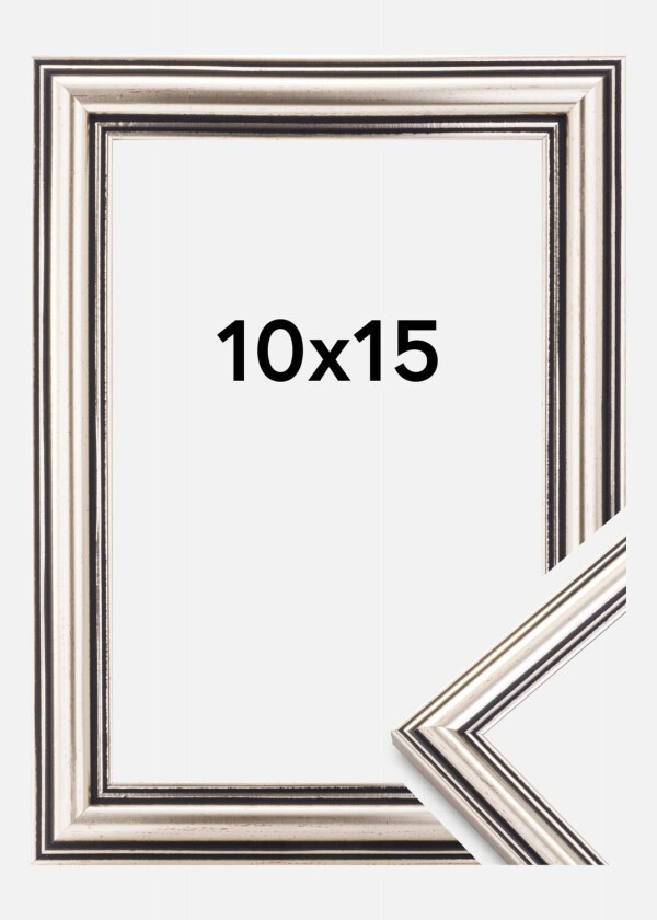 Focus Ramme Tango Sølv 10x15 Cm