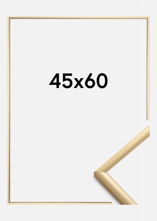 Ramme New Lifestyle Akrylglass Gull 45x60 Cm