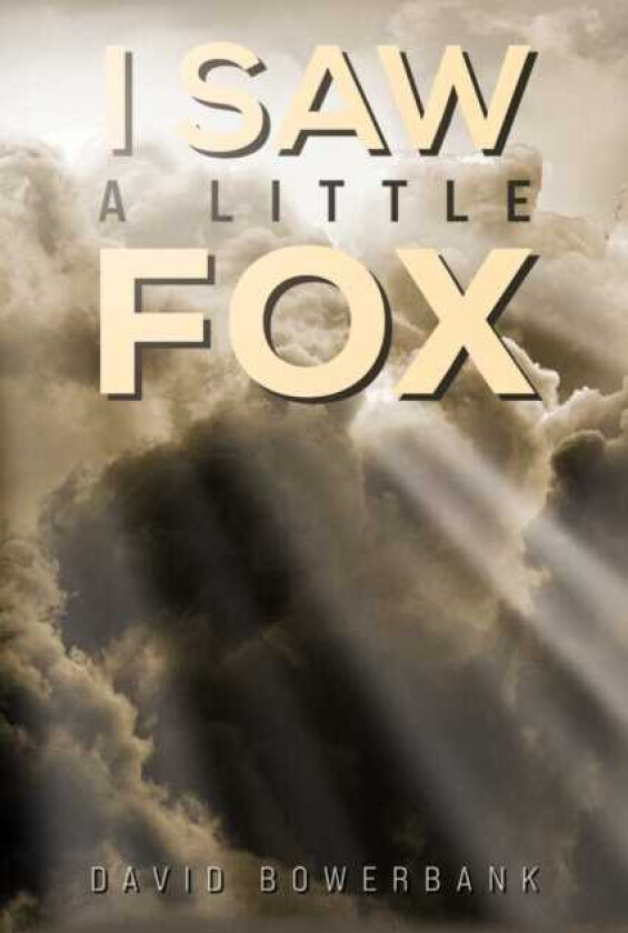 I Saw a Little Fox