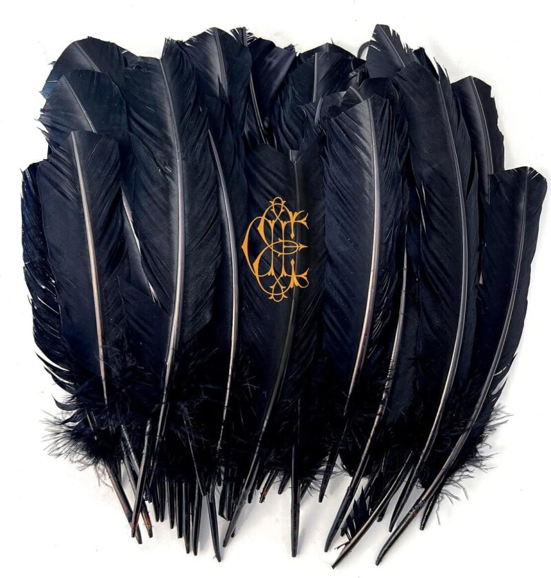 Eugene Edwards David - Hyacinth (Coloured Vinyl)