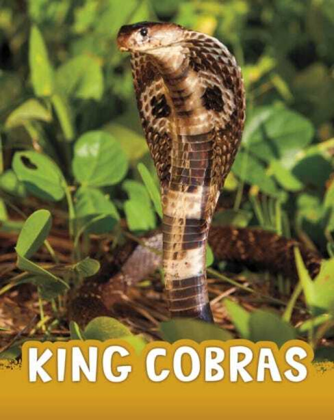 King Cobras