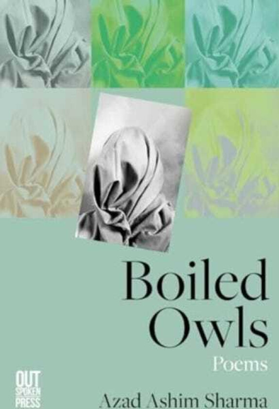 Boiled Owls