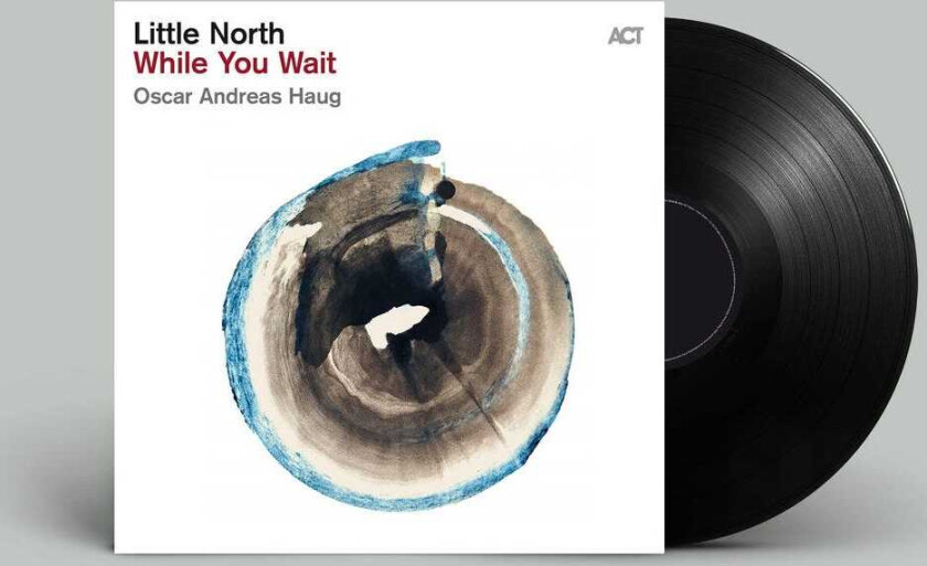 Little North - While You Wait