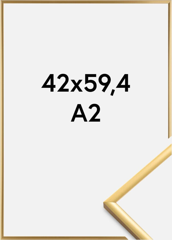 Ramme New Lifestyle Shiny Gold 42x59,4 Cm (A2)
