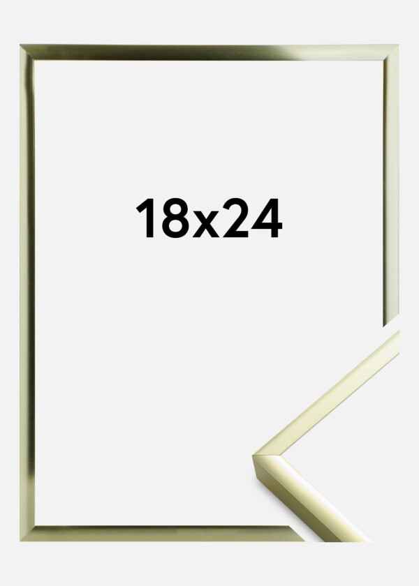 Ramme Poster Aluminum Gold 18x24 Cm
