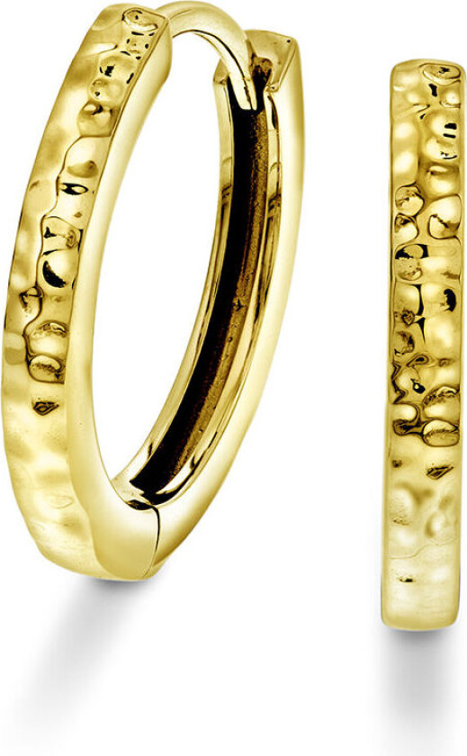 , Øreringer i forgylt sølv