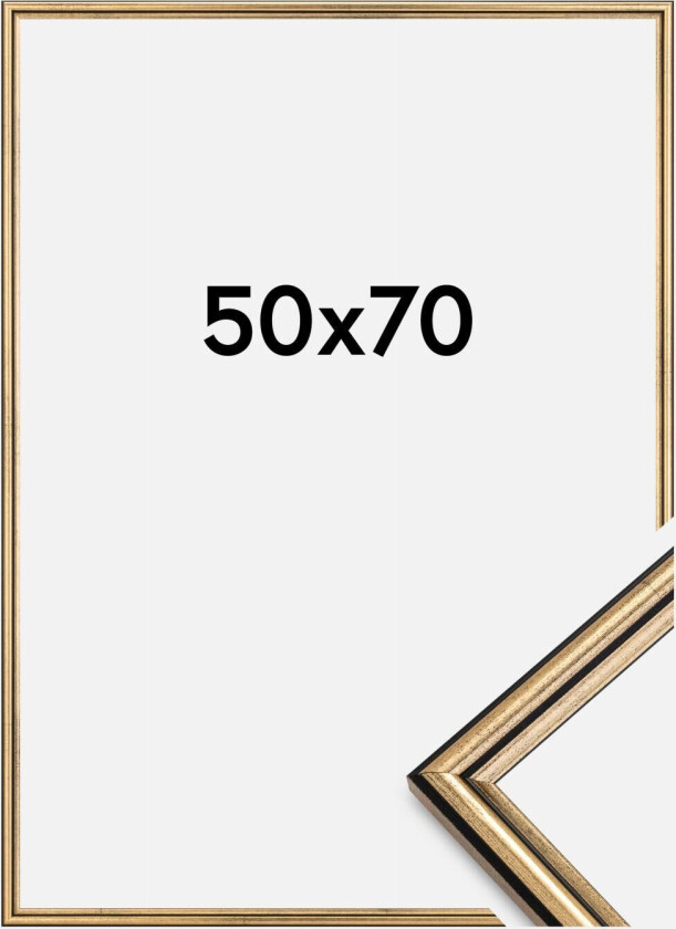 Ramme Horndal Akrylglass Gull 50x70 Cm