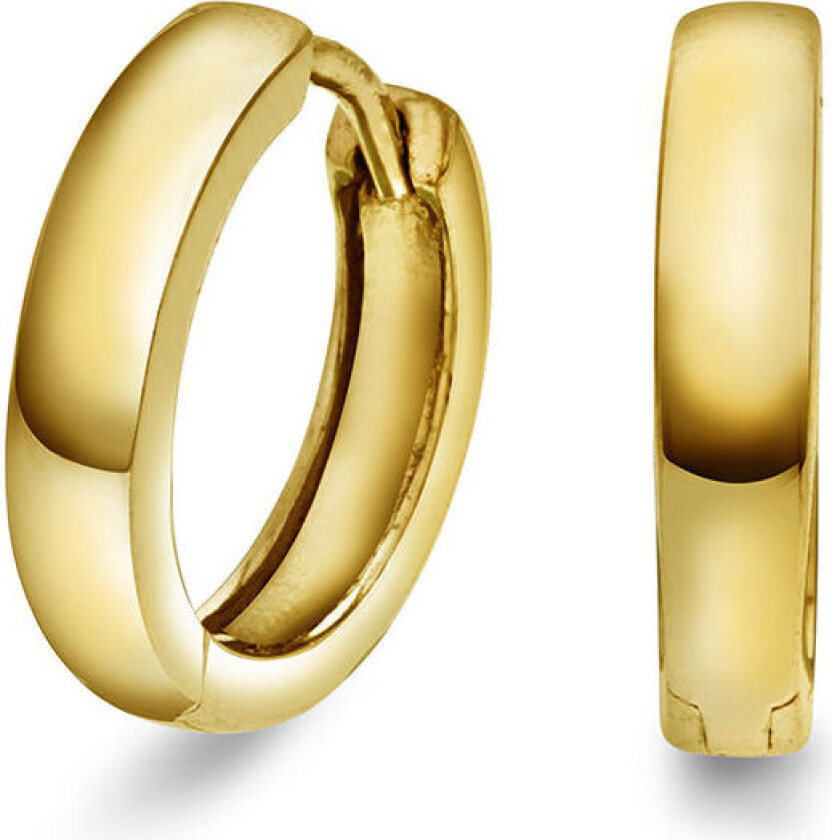 , Øreringer i sølv