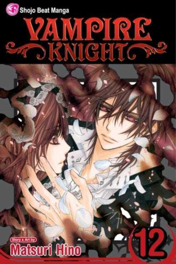 Vampire Knight, Vol. 12