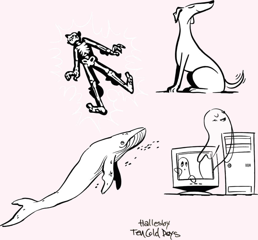 Hallesby - Ten Cold Days