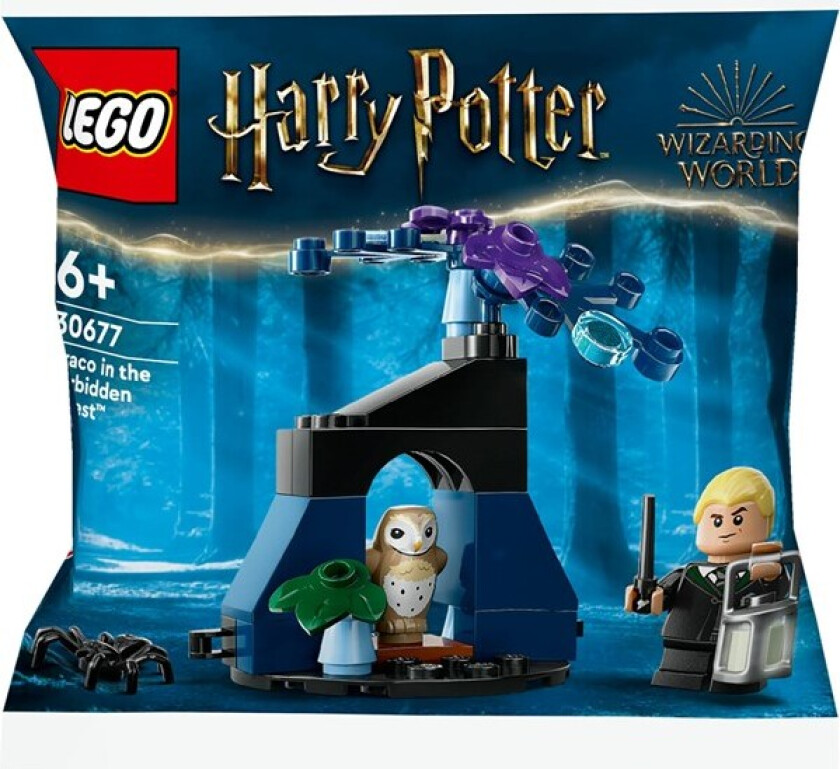 Lego 30677 Draco i Den forbudte skogen