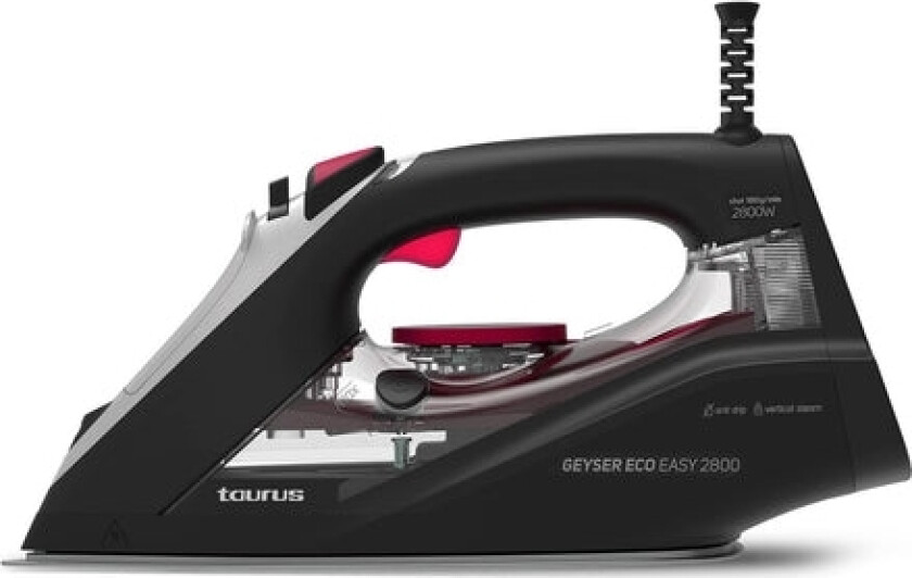 Steam Iron Taurus Geyser Eco