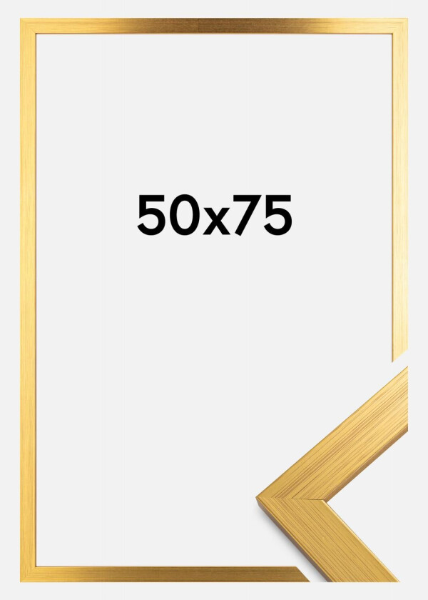 Ramme Gold Wood Akrylglass 50x75 Cm