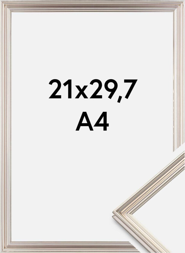 Focus Ramme Verona Sølv 21x29,7 Cm (A4)