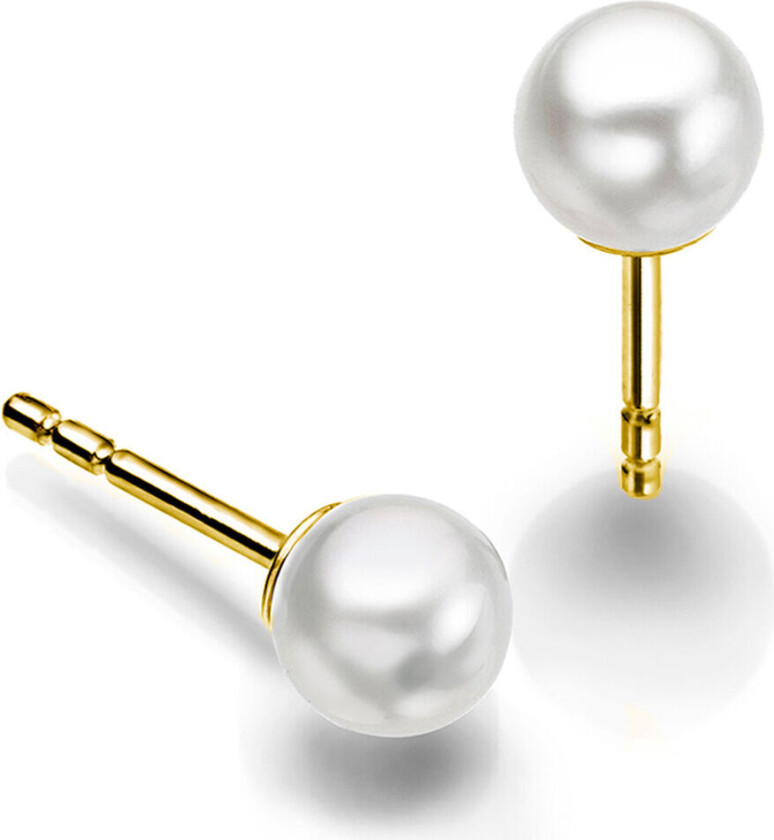 , Øredobber i 585 gult gull med ferskvannsperler