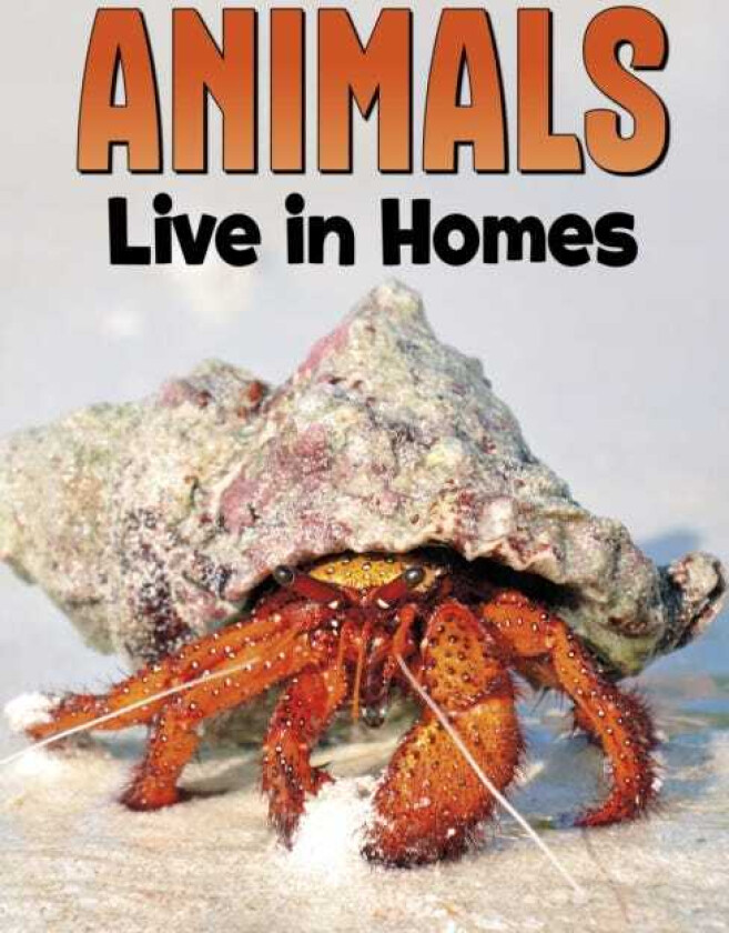 Animals Live in Homes