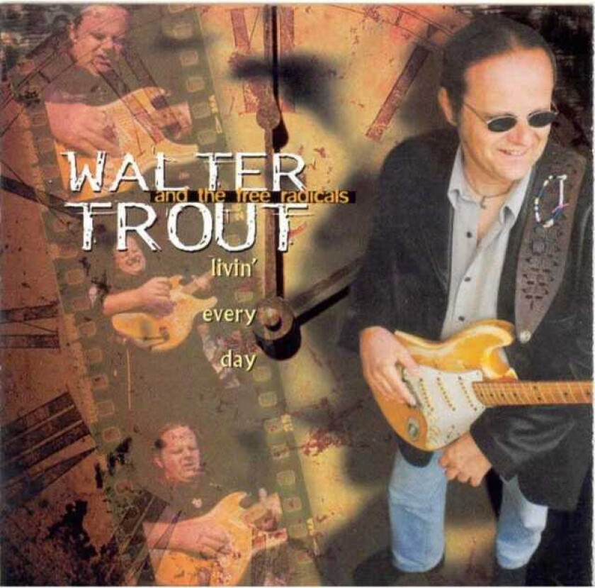 Walter Trout : Livin’ Every Day: and the free radicals CD (1999) Pre-Owned