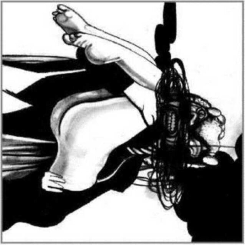 Loose Fur : Born Again in the USA CD (2006)