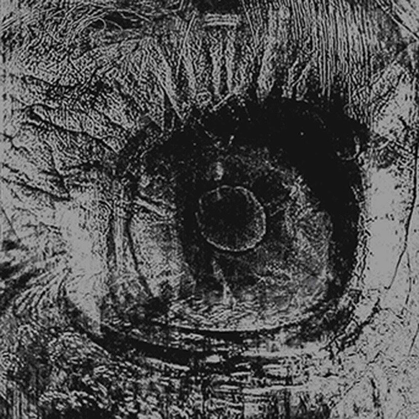 The Flaming Lips : 7 Skies H3 CD Album Digipak (2014)