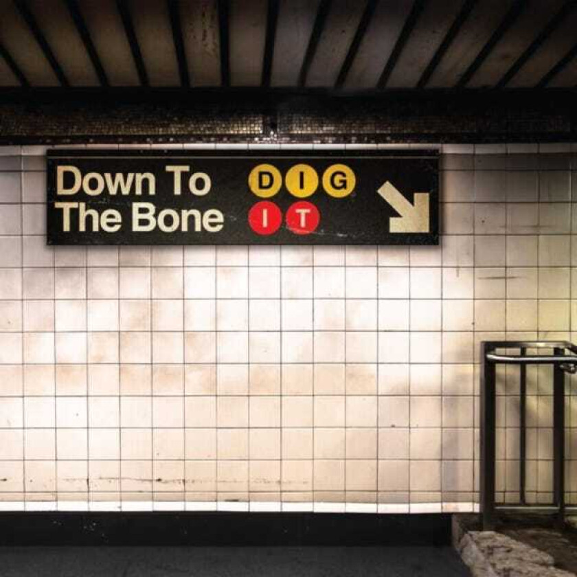 Down to the Bone : Dig It CD (2014)