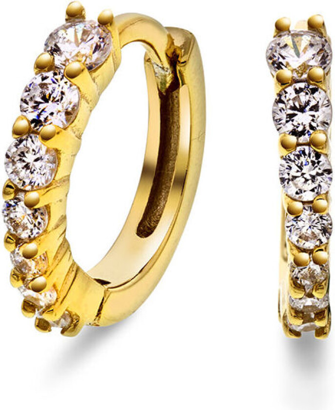 , Øredobber i forgylt sølv med zirkonia