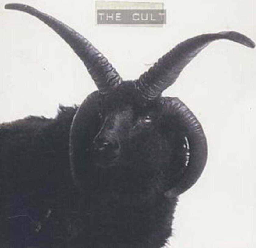 The Cult CD