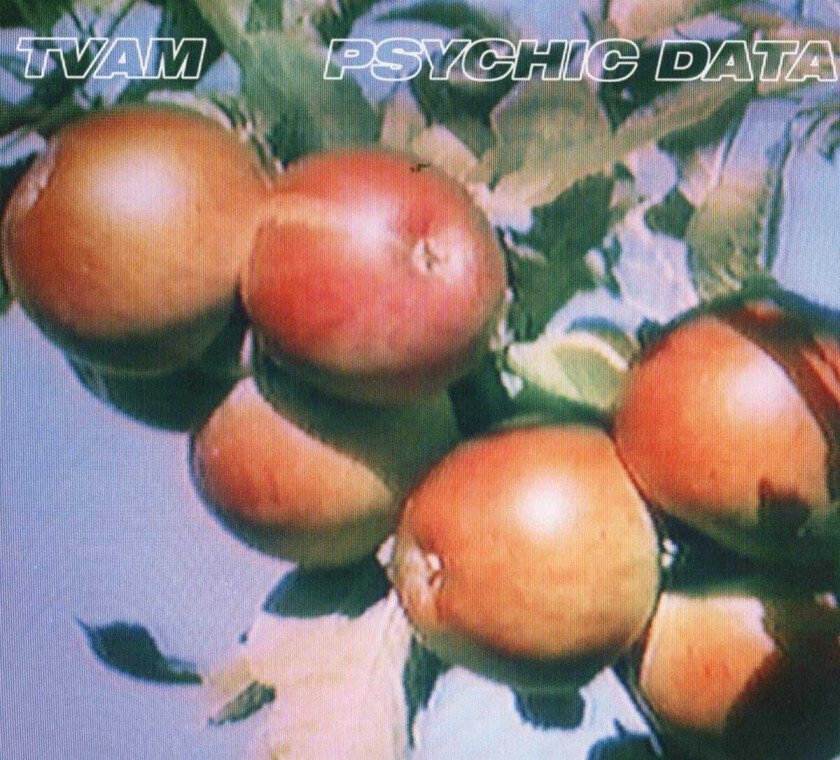 TVAM : Psychic Data CD (2018)