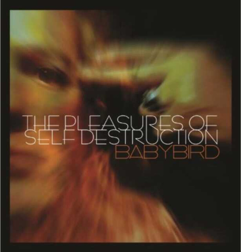 Babybird : The Pleasures Of Self Destruction CD