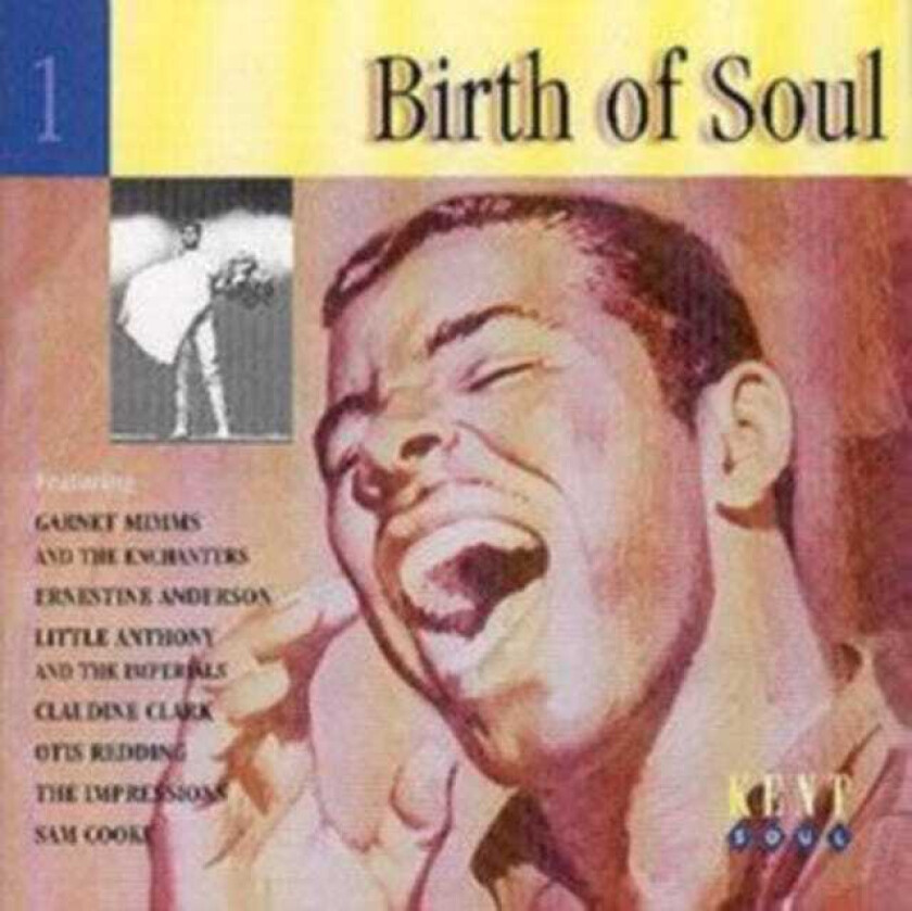 Various Artists : Birth Of Soul CD (1996)